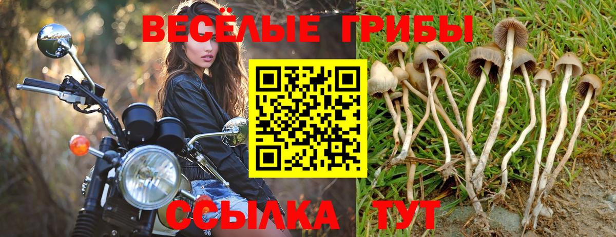 Тимашёвск  Галлюциногенные грибы Magic Shrooms  Вход с VPN 