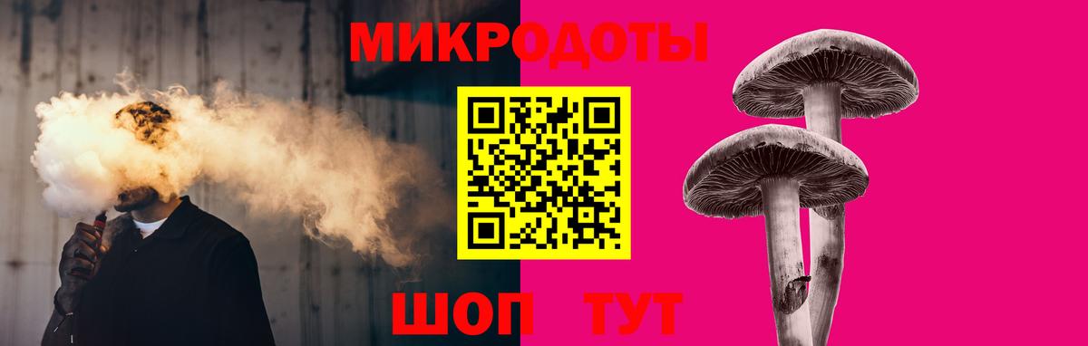 Псилоцибиновые грибы Psilocybe Тимашёвск